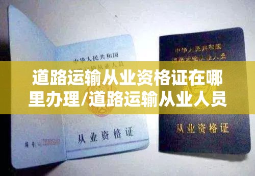 道路运输从业资格证在哪里办理/道路运输从业人员从业资格证去哪办