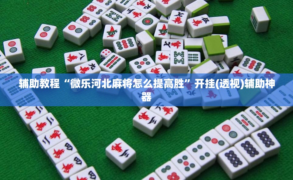 辅助教程“微乐河北麻将怎么提高胜”开挂(透视)辅助神器
