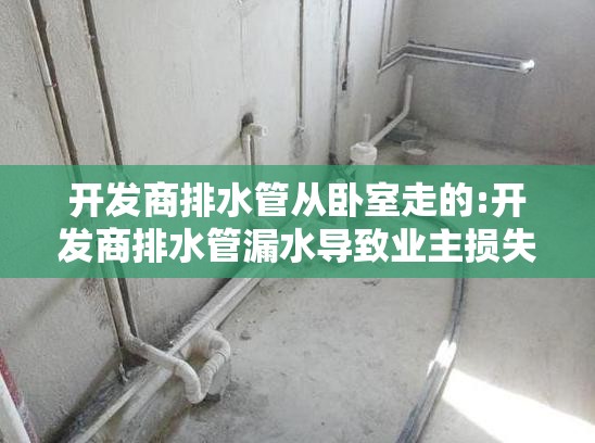 开发商排水管从卧室走的:开发商排水管漏水导致业主损失,能冲裁申请赔偿吗?