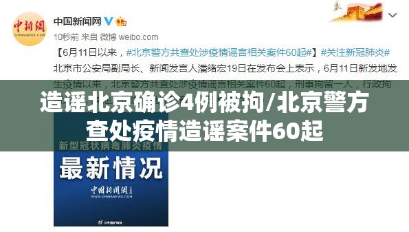 造谣北京确诊4例被拘/北京警方查处疫情造谣案件60起