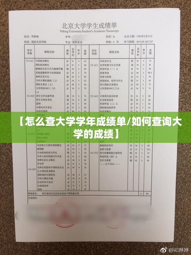 【怎么查大学学年成绩单/如何查询大学的成绩】