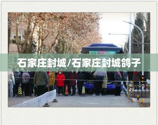 石家庄封城/石家庄封城鸽子