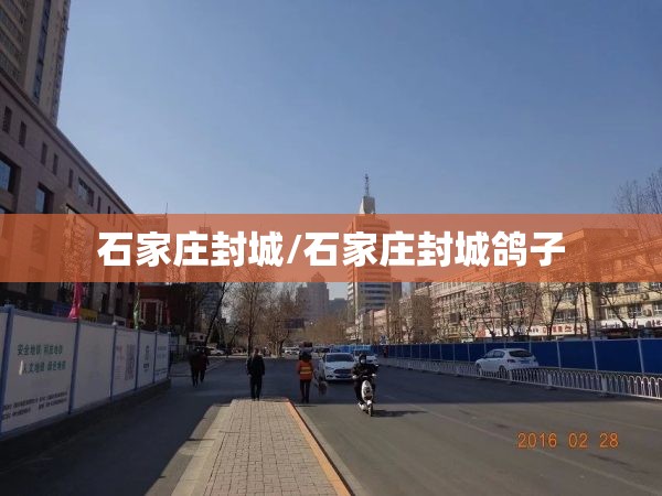石家庄封城/石家庄封城鸽子