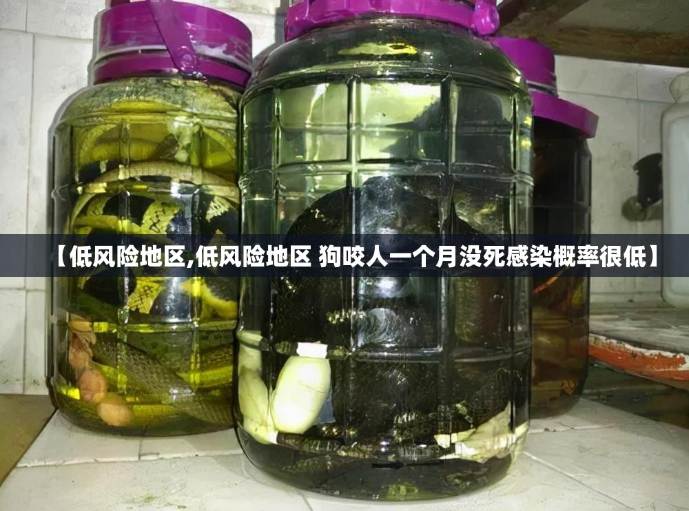【低风险地区,低风险地区 狗咬人一个月没死感染概率很低】