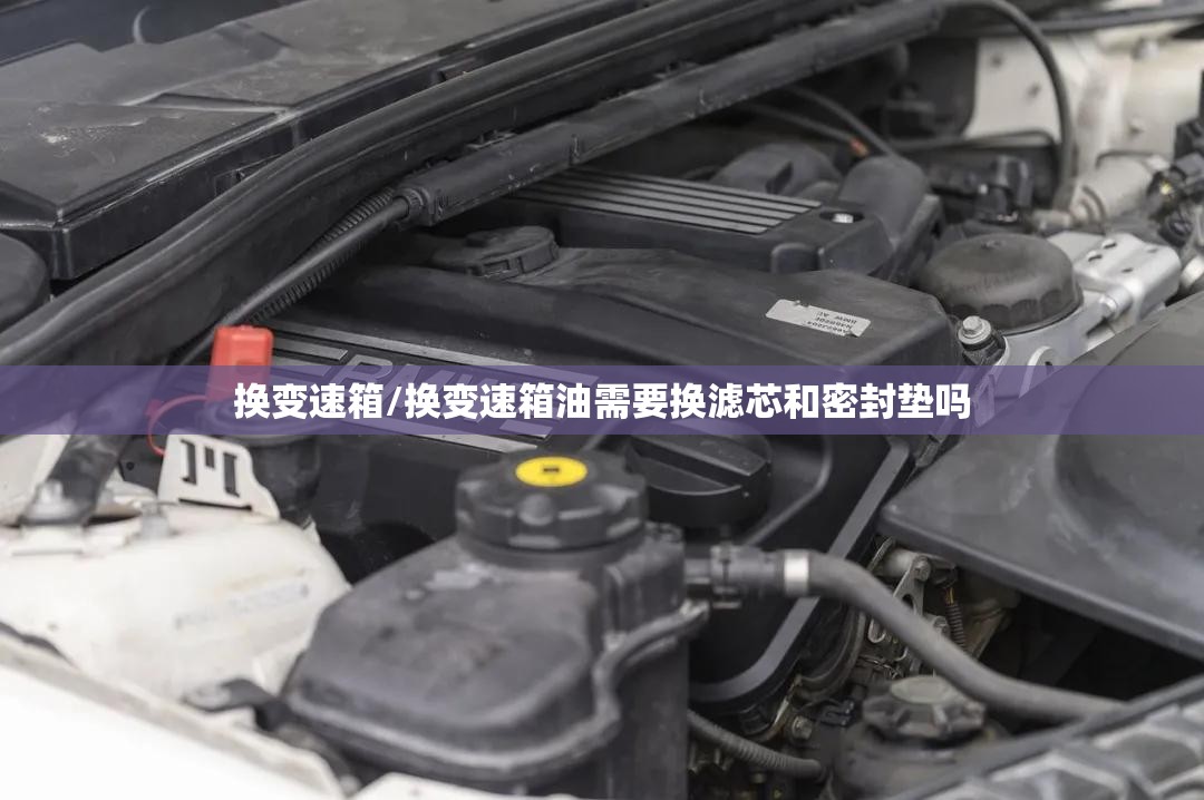 换变速箱/换变速箱油需要换滤芯和密封垫吗