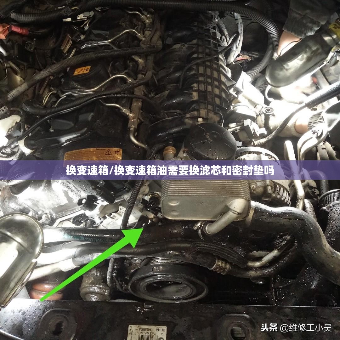 换变速箱/换变速箱油需要换滤芯和密封垫吗
