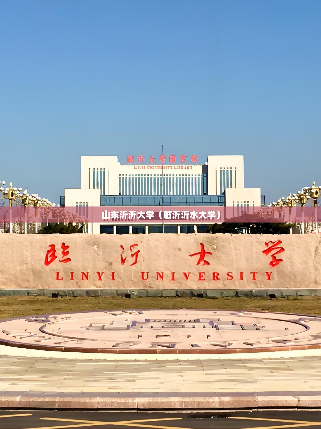 山东沂沂大学（临沂沂水大学）