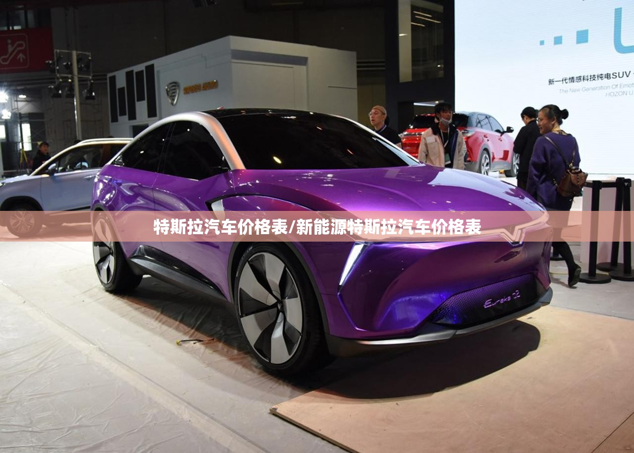 特斯拉汽车价格表/新能源特斯拉汽车价格表