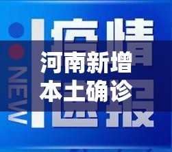 河南新增本土确诊29例:河南新增本土病例61例