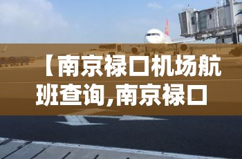 【南京禄口机场航班查询,南京禄口机场航班查询表】