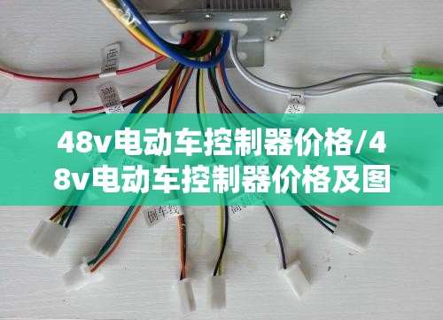 48v电动车控制器价格/48v电动车控制器价格及图片