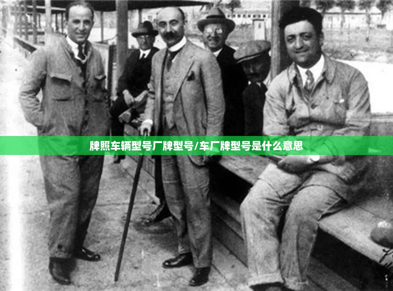牌照车辆型号厂牌型号/车厂牌型号是什么意思
