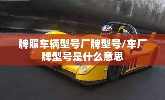 牌照车辆型号厂牌型号/车厂牌型号是什么意思