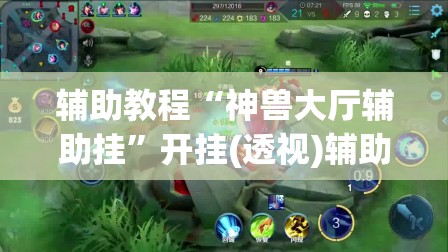 辅助教程“神兽大厅辅助挂	”开挂(透视)辅助神器