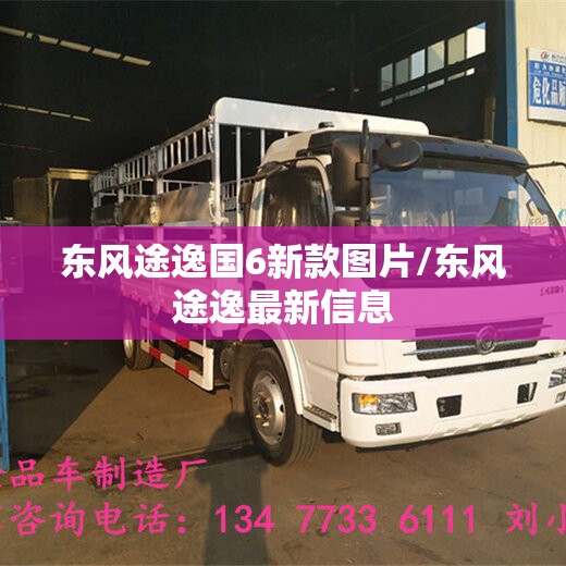 东风途逸国6新款图片/东风途逸最新信息