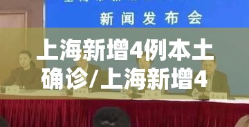 上海新增4例本土确诊/上海新增4例本土确诊病例