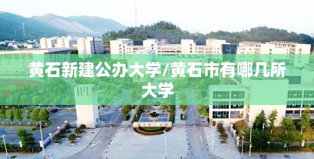 黄石新建公办大学/黄石市有哪几所大学