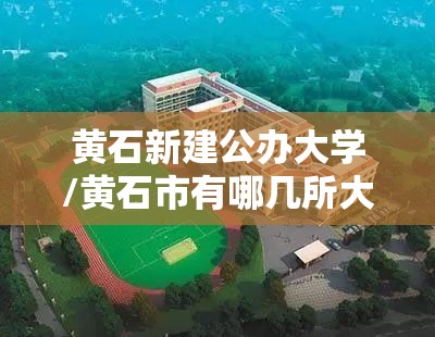 黄石新建公办大学/黄石市有哪几所大学