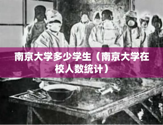 南京大学多少学生（南京大学在校人数统计）
