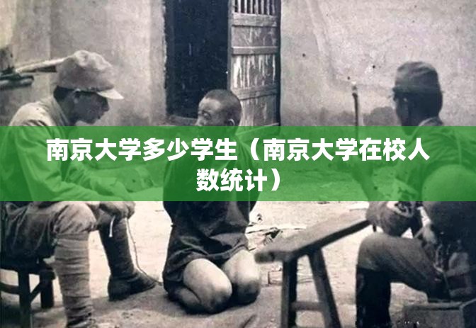 南京大学多少学生（南京大学在校人数统计）