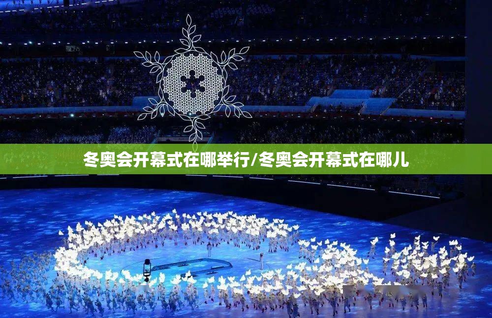 冬奥会开幕式在哪举行/冬奥会开幕式在哪儿