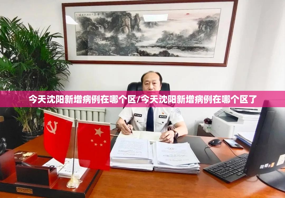 今天沈阳新增病例在哪个区/今天沈阳新增病例在哪个区了