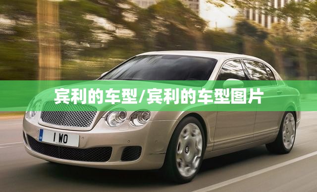 宾利的车型/宾利的车型图片