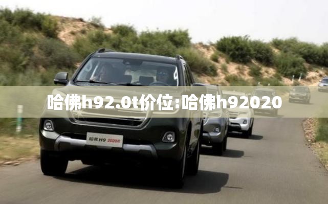 哈佛h92.0t价位:哈佛h92020