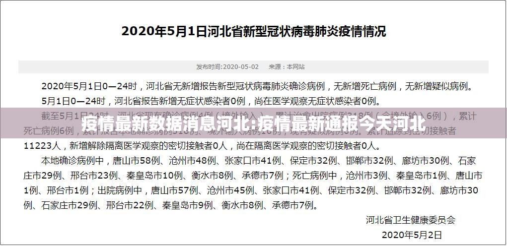 疫情最新数据消息河北:疫情最新通报今天河北