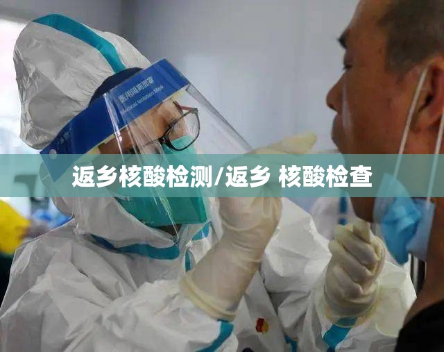 返乡核酸检测/返乡 核酸检查