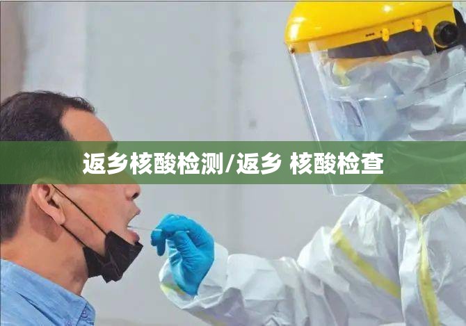 返乡核酸检测/返乡 核酸检查
