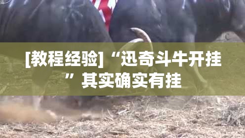 [教程经验]“迅奇斗牛开挂”其实确实有挂