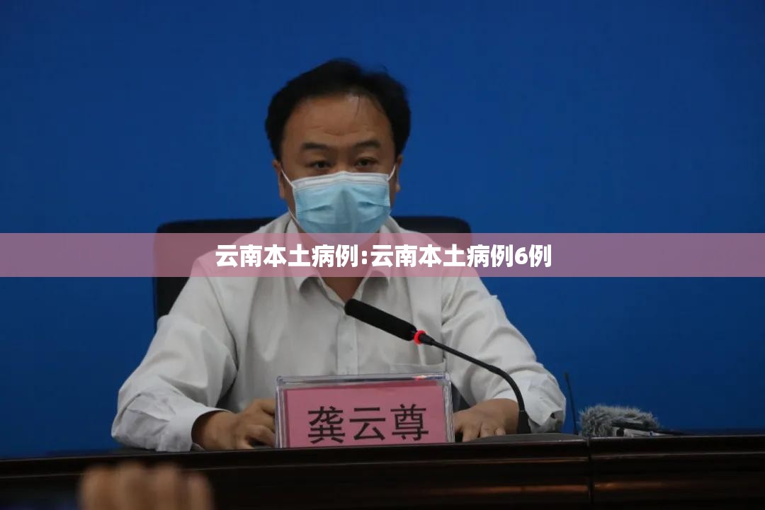 云南本土病例:云南本土病例6例