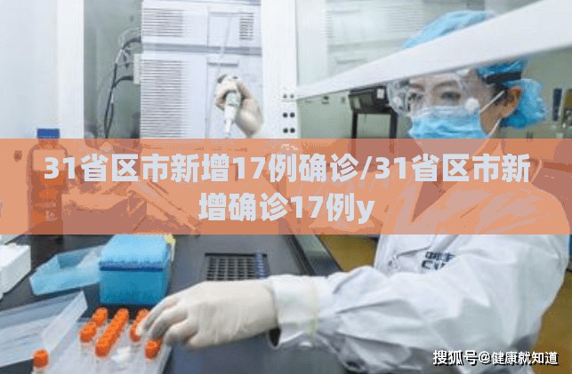 31省区市新增17例确诊/31省区市新增确诊17例y