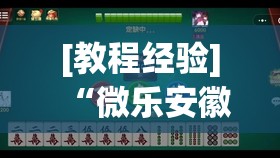 [教程经验]“微乐安徽麻将怎么提高胜率”开挂(透视)辅助教程