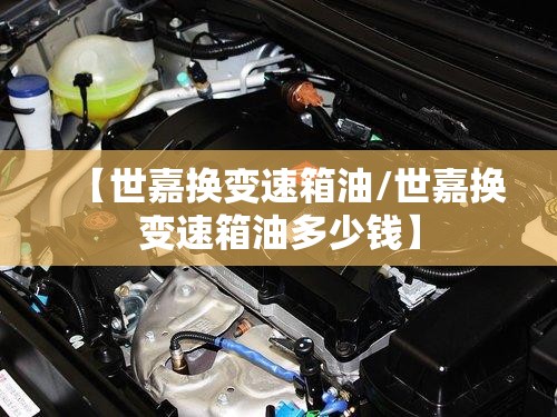 【世嘉换变速箱油/世嘉换变速箱油多少钱】