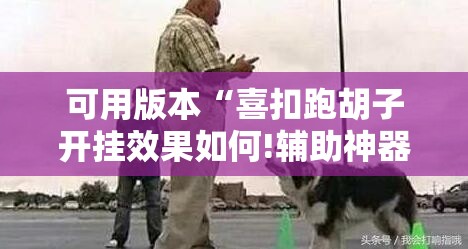 可用版本“喜扣跑胡子开挂效果如何!辅助神器插件下载