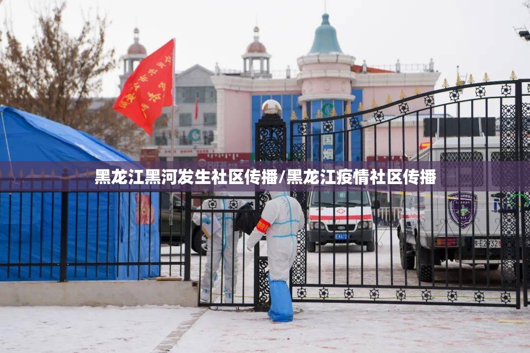 黑龙江黑河发生社区传播/黑龙江疫情社区传播