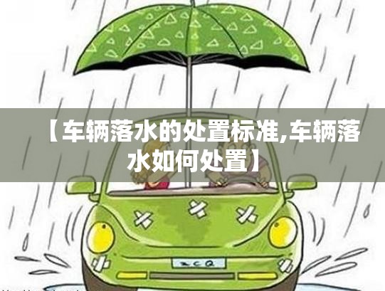 【车辆落水的处置标准,车辆落水如何处置】