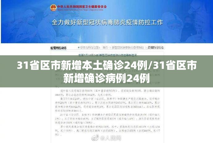 31省区市新增本土确诊24例/31省区市新增确诊病例24例