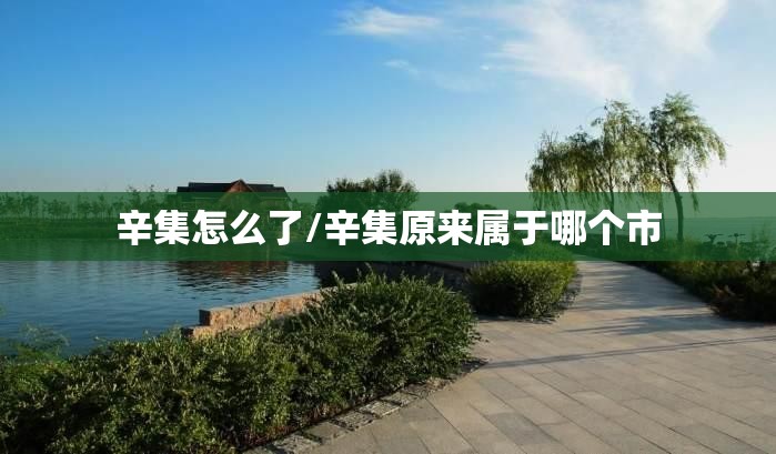 辛集怎么了/辛集原来属于哪个市