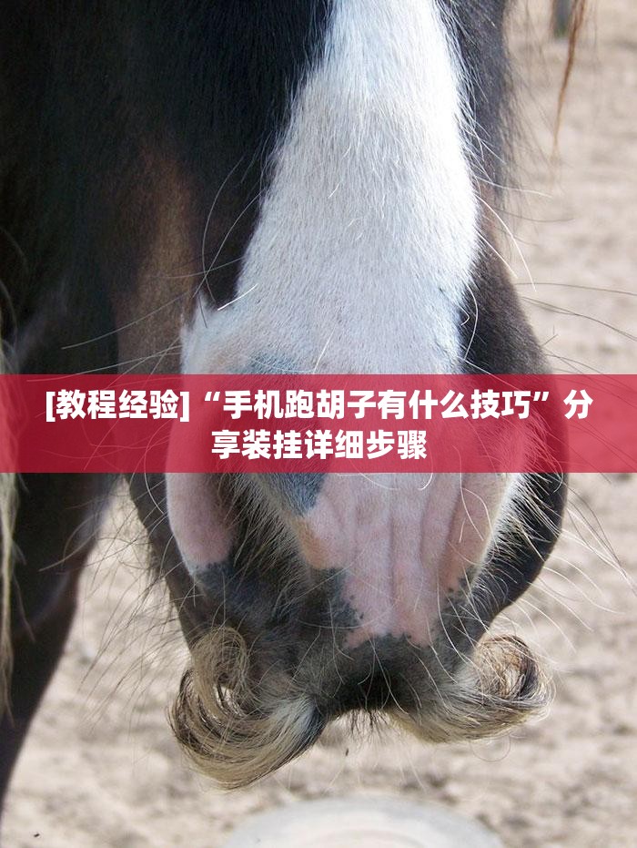 [教程经验]“手机跑胡子有什么技巧”分享装挂详细步骤