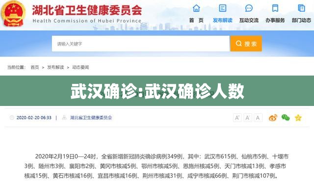 武汉确诊:武汉确诊人数
