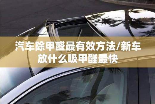 汽车除甲醛最有效方法/新车放什么吸甲醛最快