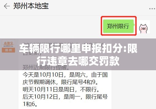 车辆限行哪里申报扣分:限行违章去哪交罚款