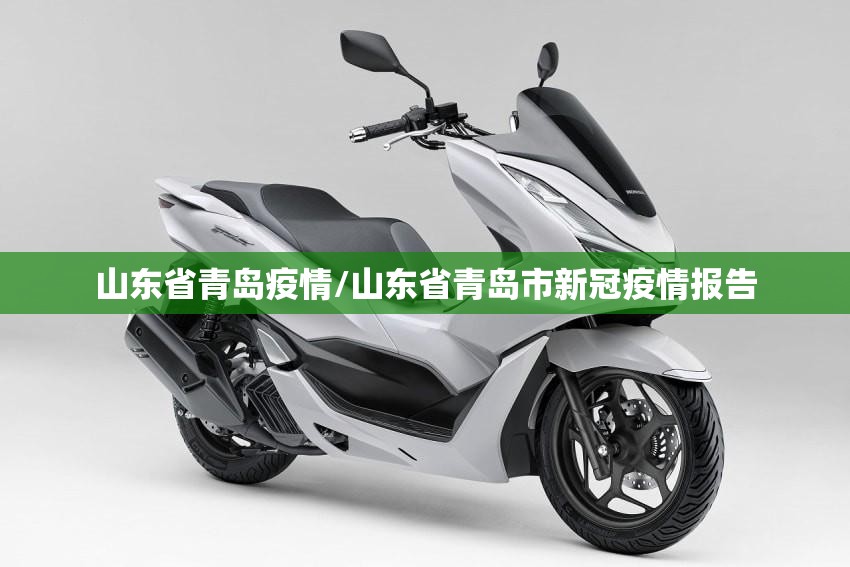 山东省青岛疫情/山东省青岛市新冠疫情报告