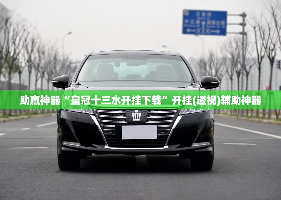 助赢神器“皇冠十三水开挂下载”开挂(透视)辅助神器