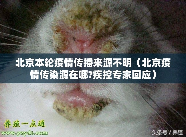 北京本轮疫情传播来源不明（北京疫情传染源在哪?疾控专家回应）