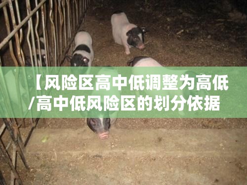 【风险区高中低调整为高低/高中低风险区的划分依据】