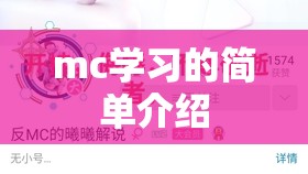 mc学习的简单介绍